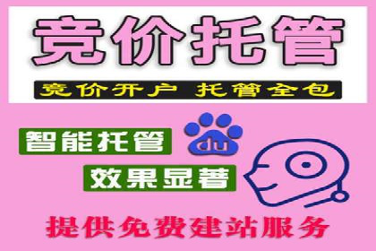sem账户托管案例：让每一分钱都花在刀刃上